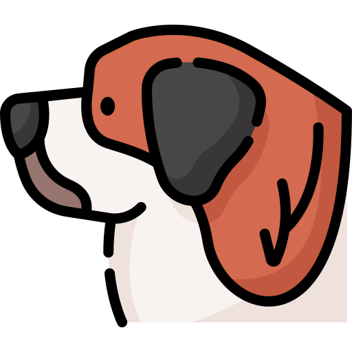 saint bernard